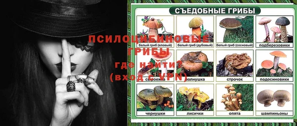 ГАЛЛЮЦИНОГЕННЫЕ ГРИБЫ Алзамай