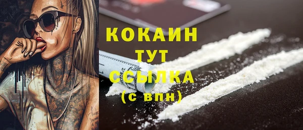 трава Аркадак