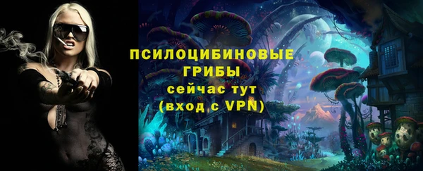молекула духа Алексин