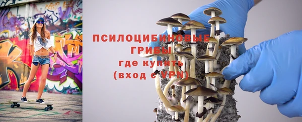 ALPHA PVP Арсеньев