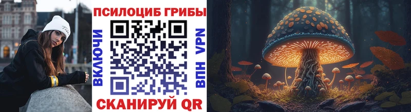 Галлюциногенные грибы Cubensis  Купить где  Томмот 